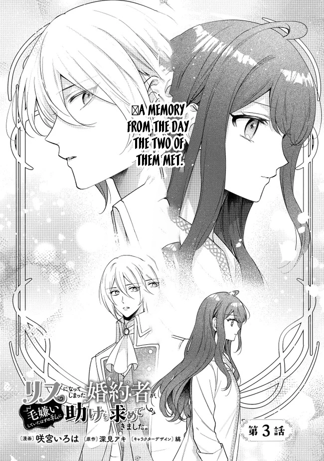 My Fiancé, Who Used to Hate Me, Turned into a Squirrel and Came to Me for Help. Chapter 3 Page 2